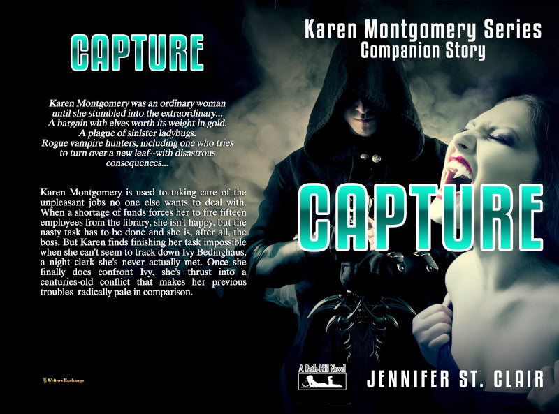 A Beth-Hill Novel: Karen Montgomery Series, Companion Story: Russ' Story: Capture by Jennifer St. Clair